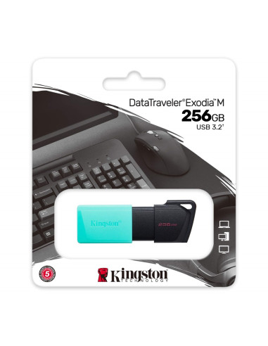 Kingston Exodia 256Gb Usb3.2 Teal