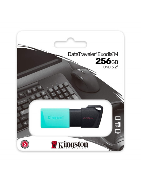 Kingston Exodia 256Gb Usb3.2 Teal