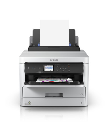 Epson Durabrite Pro