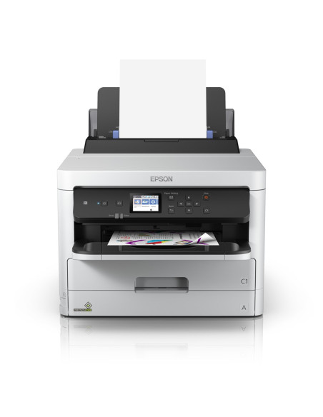 Epson Durabrite Pro