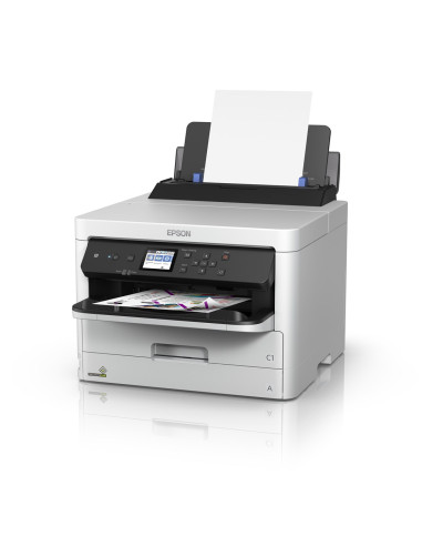 Epson Durabrite Pro