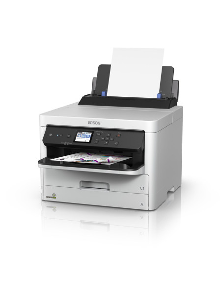Epson Durabrite Pro