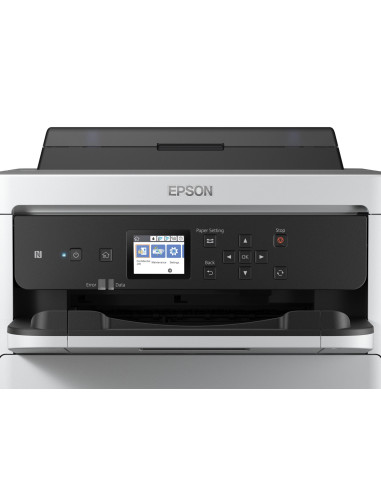 Epson Durabrite Pro