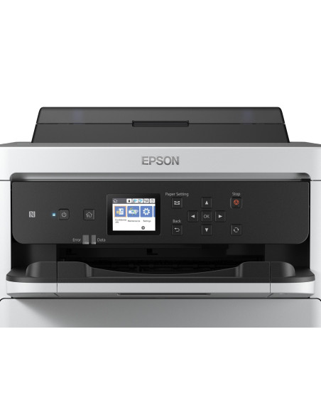 Epson Durabrite Pro