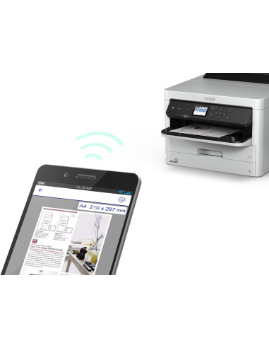 Epson Durabrite Pro