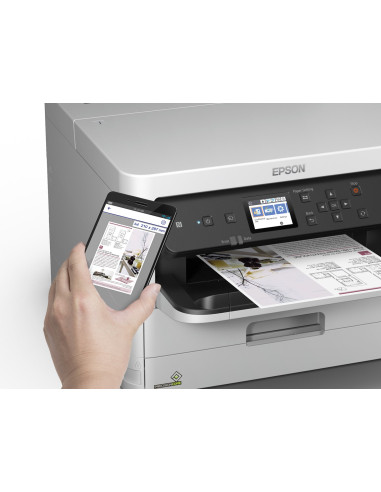 Epson Durabrite Pro